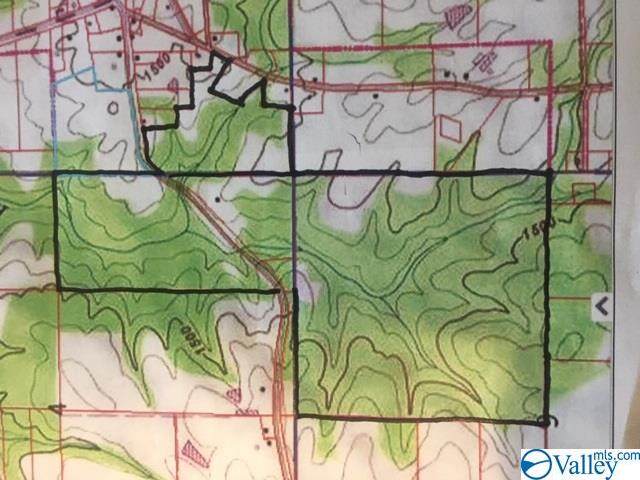 100 County Road 141 - Photo 1