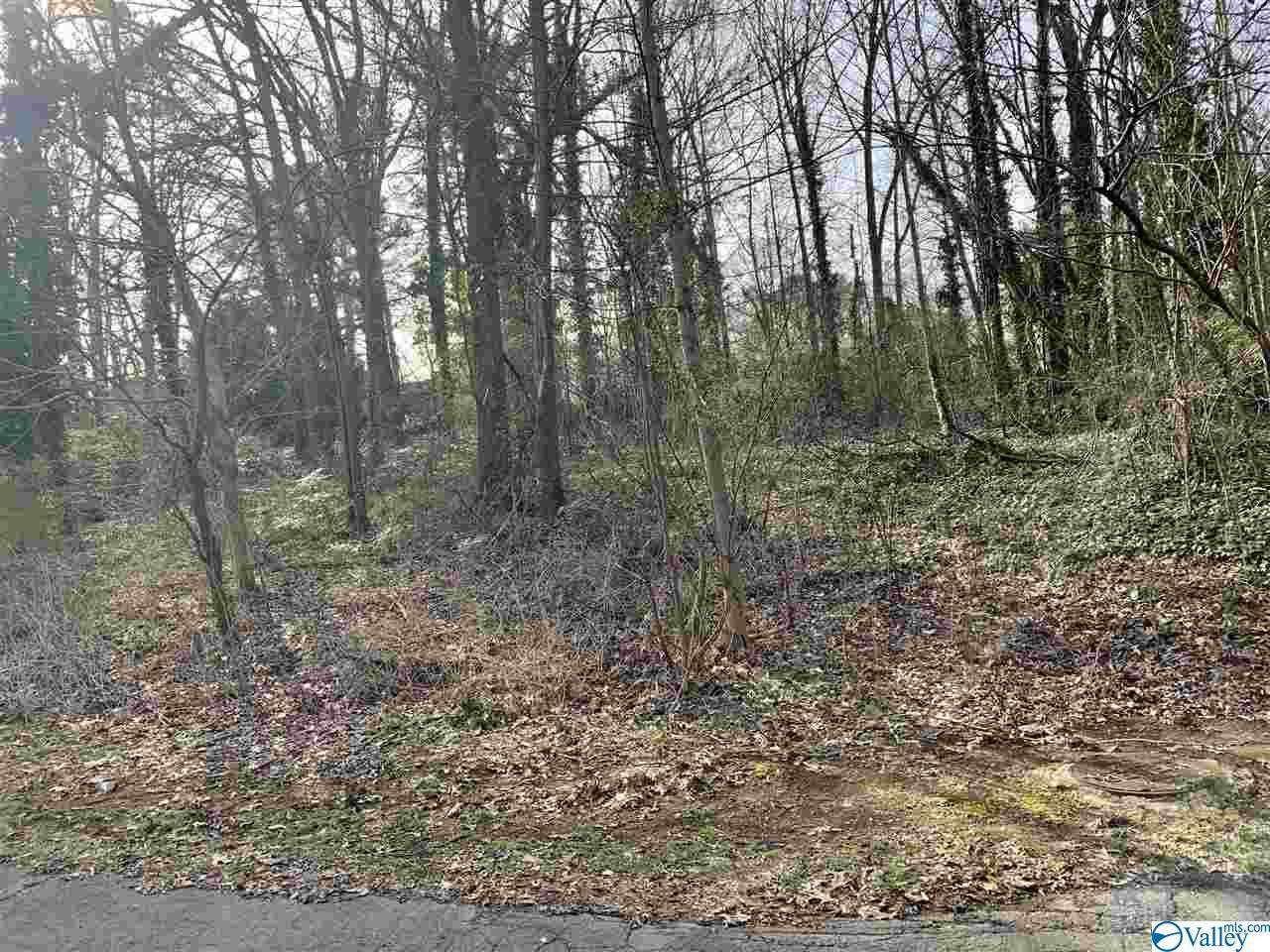 2108 Pell Street - Photo 1