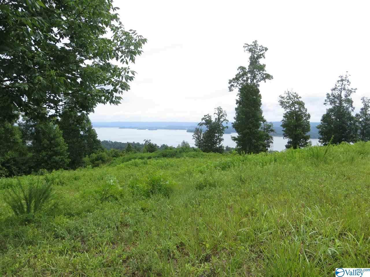 0 Keene Point Drive - Photo 1