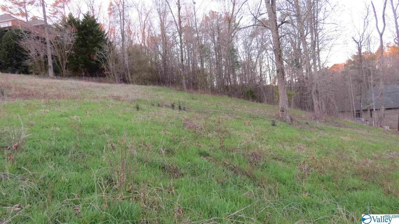 40 Spy Glass Cove - Photo 1