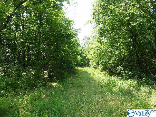 40 Grays Lane - Photo 1