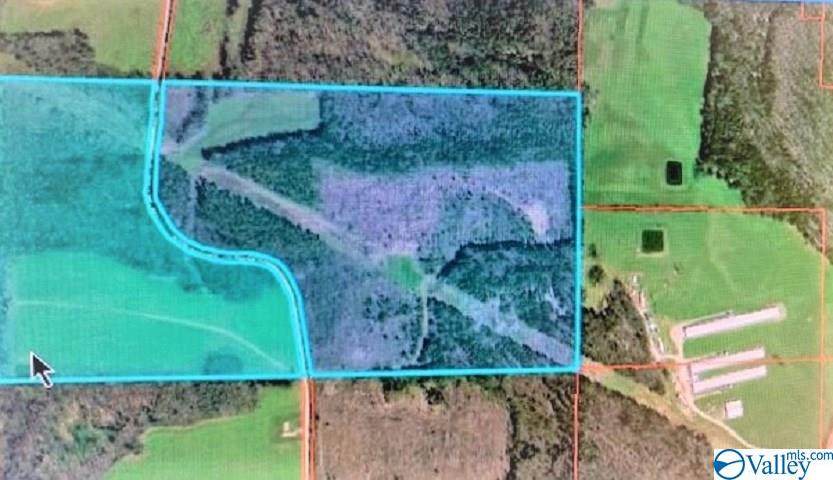 0 County Road 55 - Photo 1