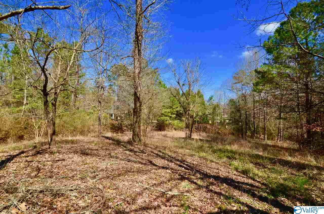 1 Beech Ridge - Photo 1