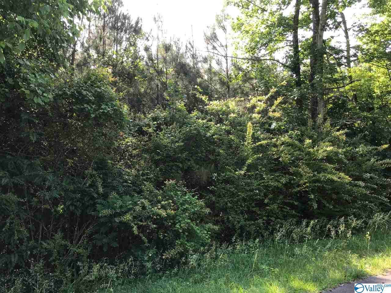 Dalewood Lane - Photo 1