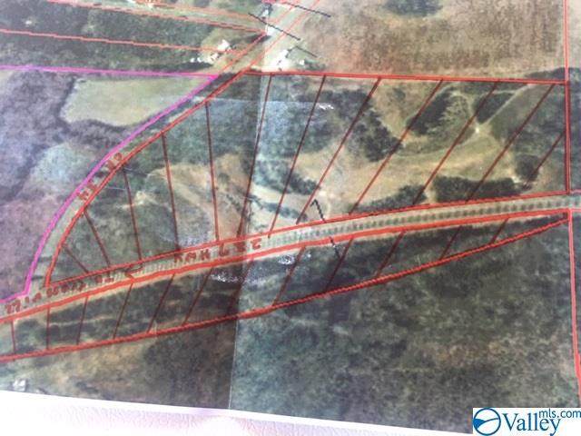 000 Hwy 227 - Photo 1