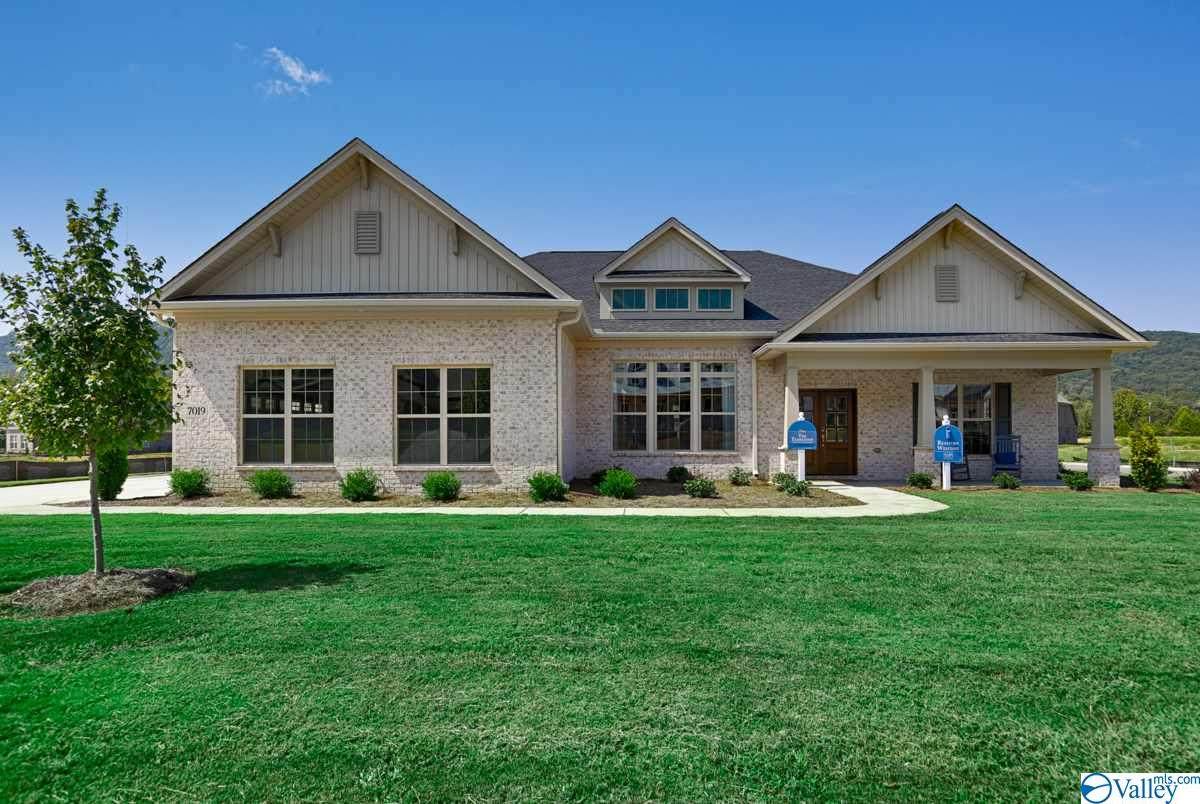 7019 Jane Elizabeth Drive - Photo 1