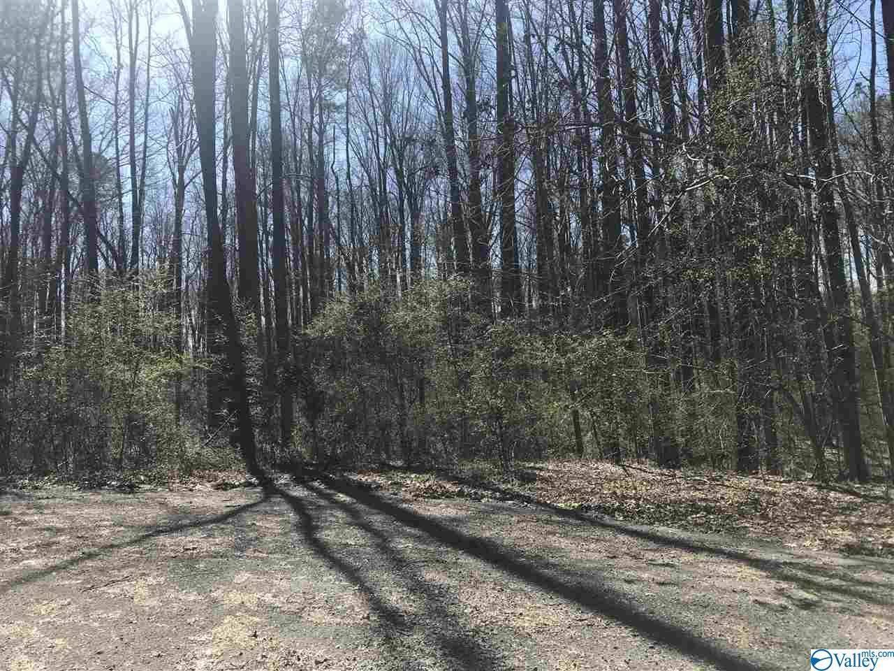 0 Blake Lane - Photo 1