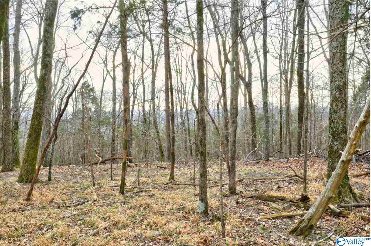 0 Green Mountain Road - Photo 1 0 Green Mountain Road - Photo 1