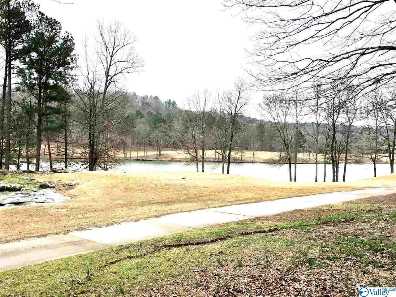 0 Timberlake Drive - Photo 1