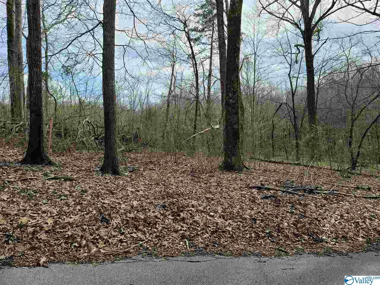 7756 Blue Springs Drive - Photo 1