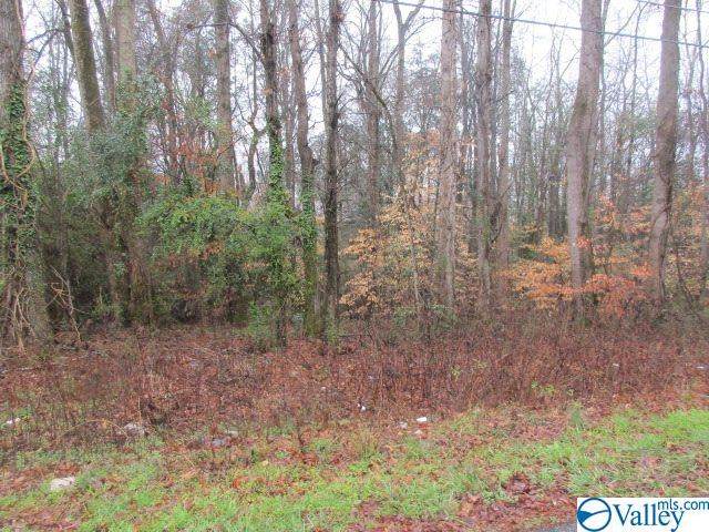 0 Western Lane - Photo 1