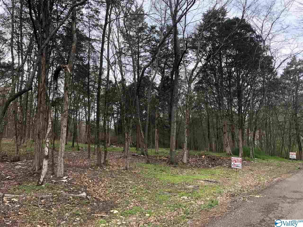37 Nixon Drive - Photo 1