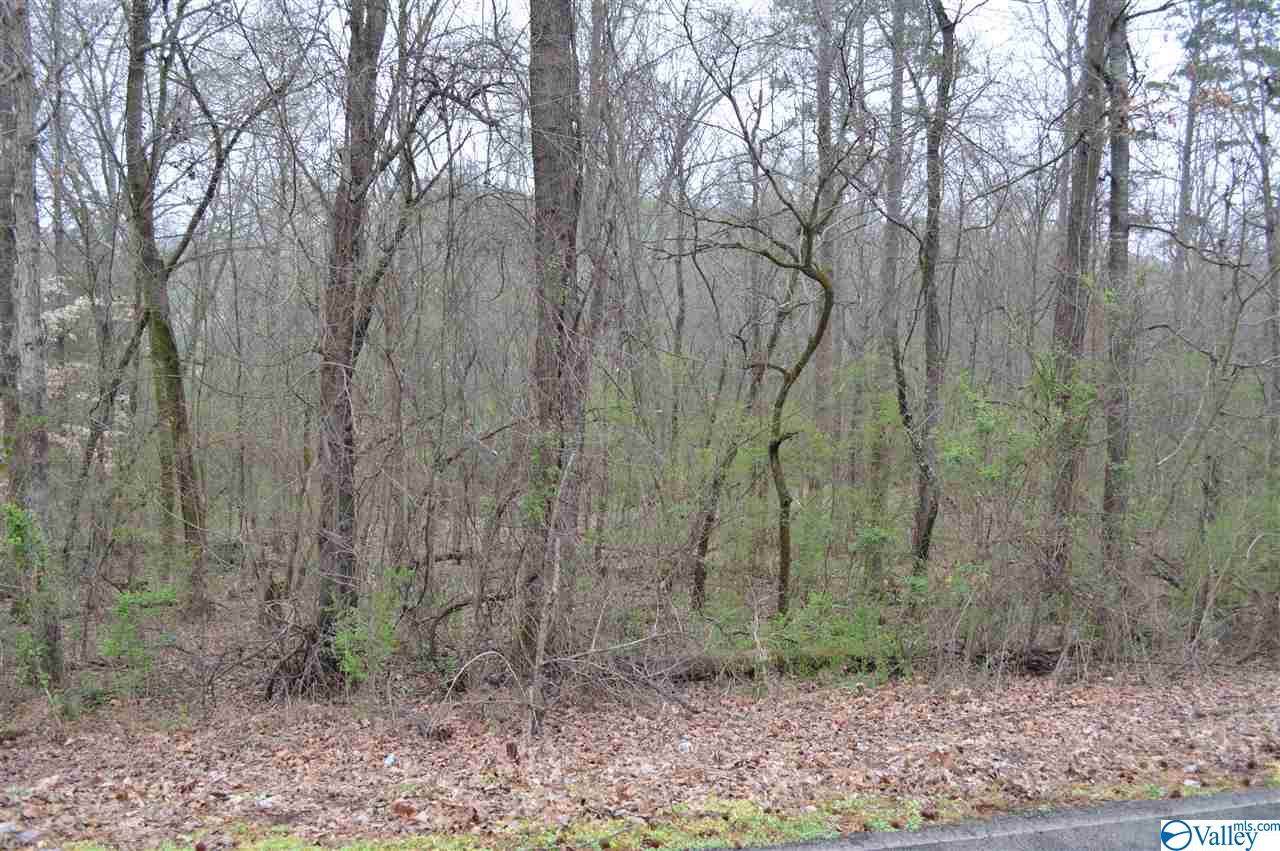 283 York Drive - Photo 1