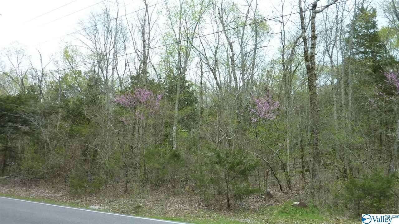 Hickory Hill Road - Photo 1