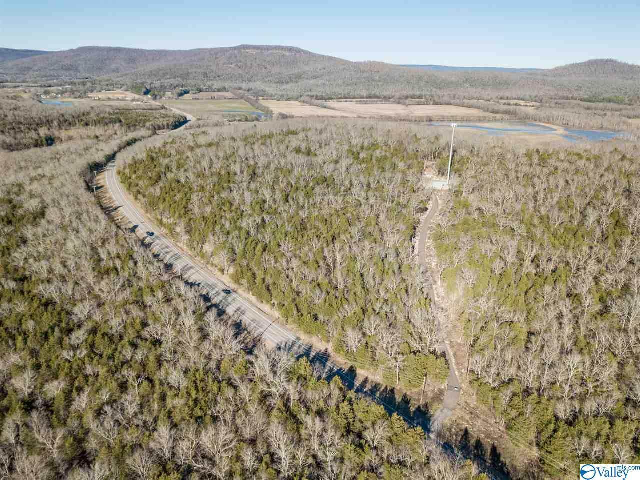 00 Alabama Hwy 79 - Photo 1