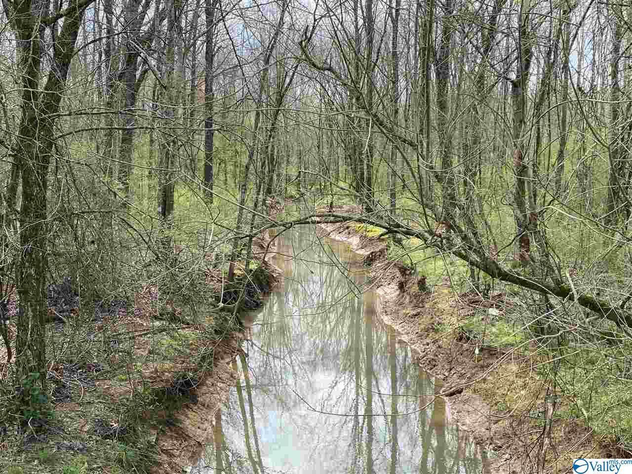 xxx County Road 107 - Photo 1