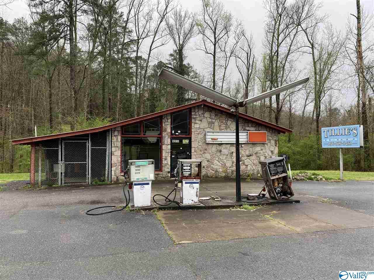 9388 Highway 227 - Photo 1