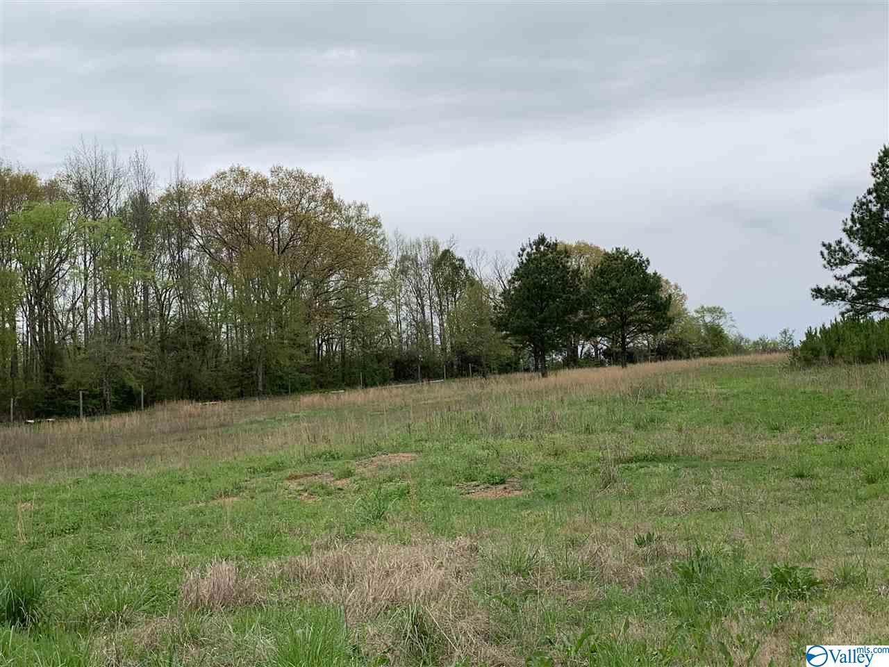0 County Road 69 - Photo 1 0 County Road 69 - Photo 1