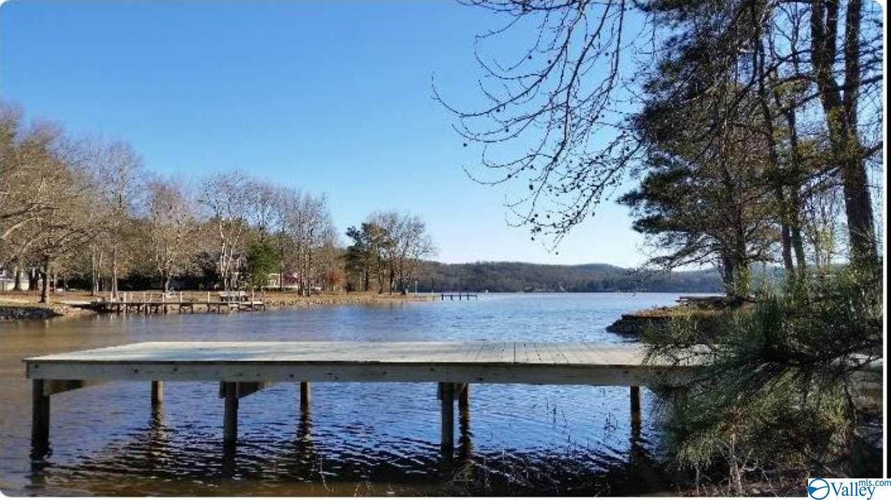 0 Indian Lake Drive - Photo 1