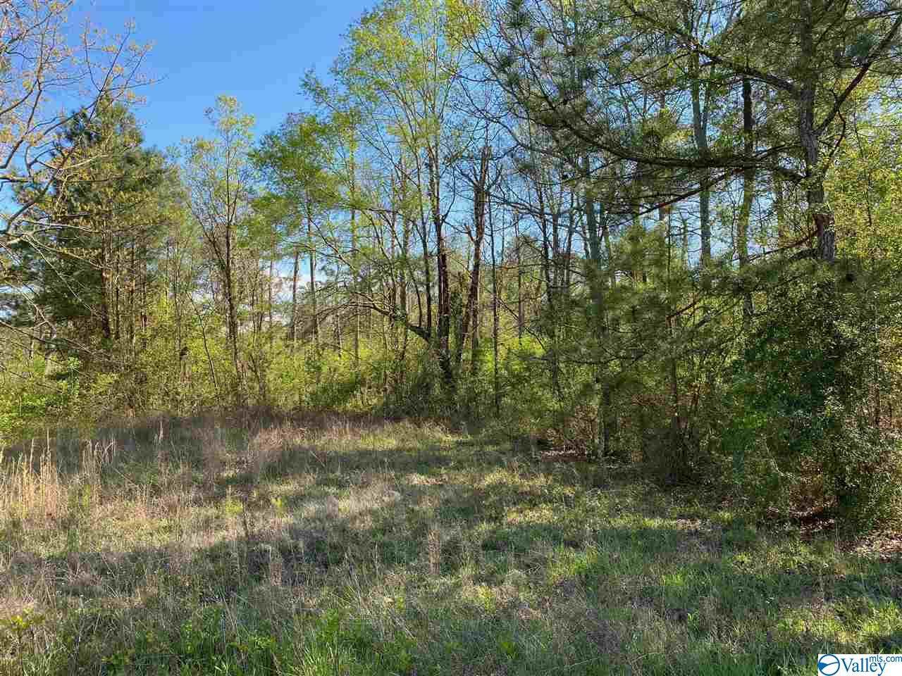 0 County Road 380 - Photo 1 0 County Road 380 - Photo 1