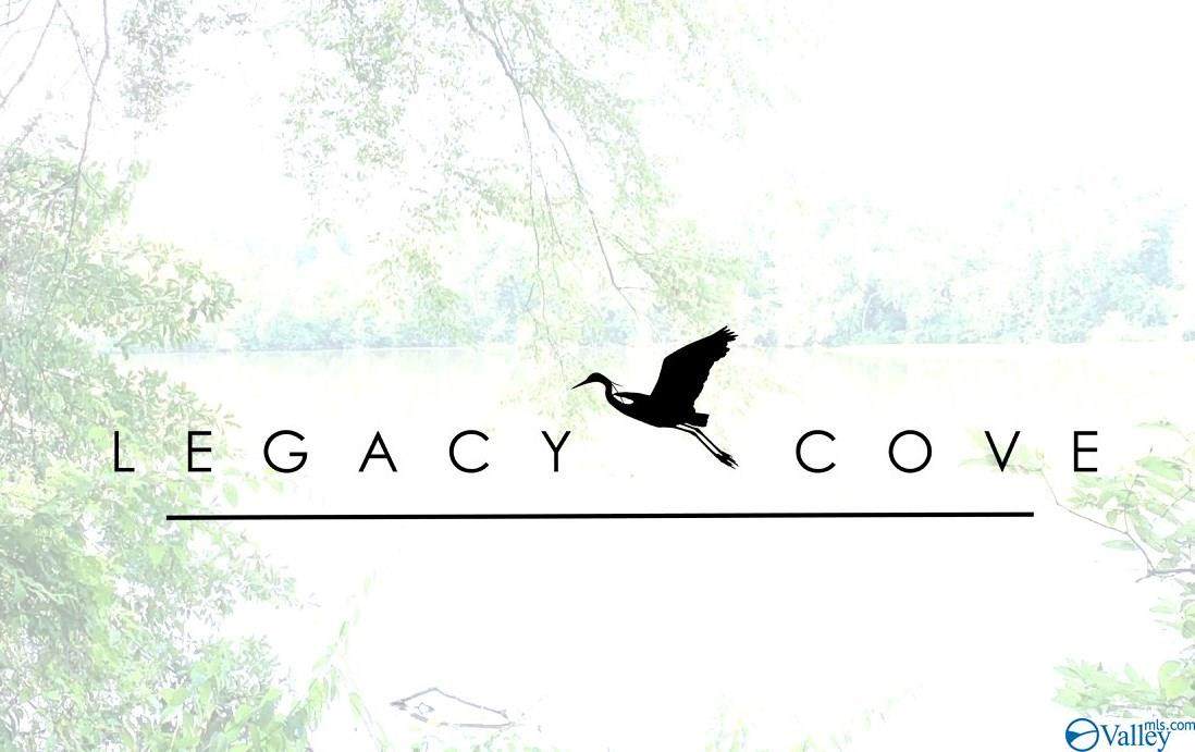 30 Legacy Cove Drive - Photo 1
