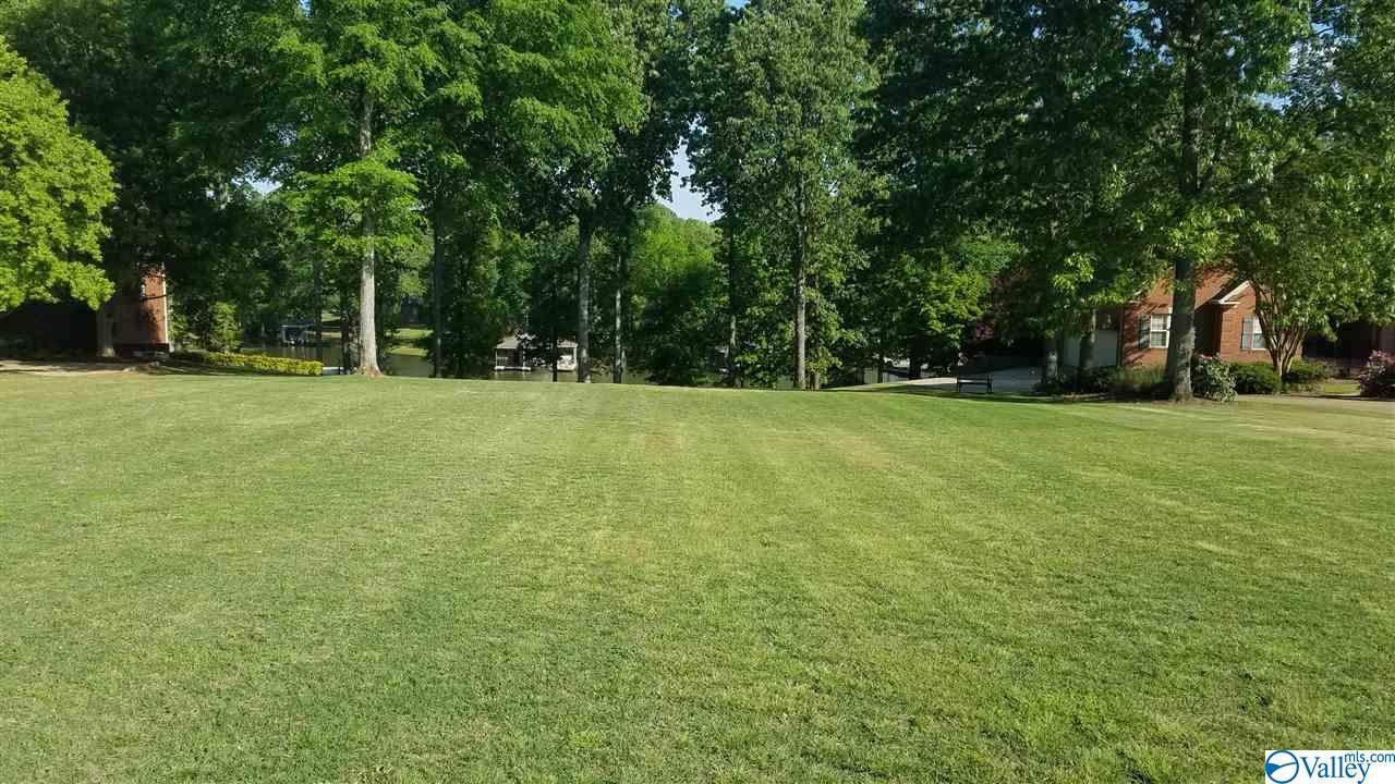 Lot 18 Brigadoon Drive - Photo 1