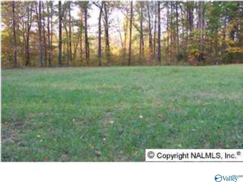 1666 Lake Cove Drive - Photo 1 1666 Lake Cove Drive - Photo 1