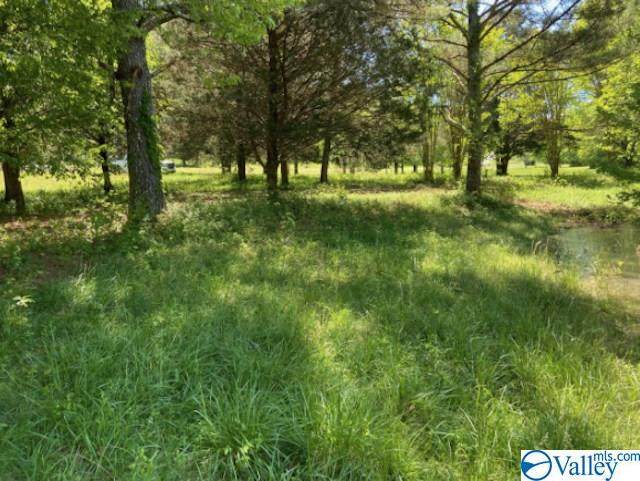 0 Dug Hill Road - Photo 1 0 Dug Hill Road - Photo 1