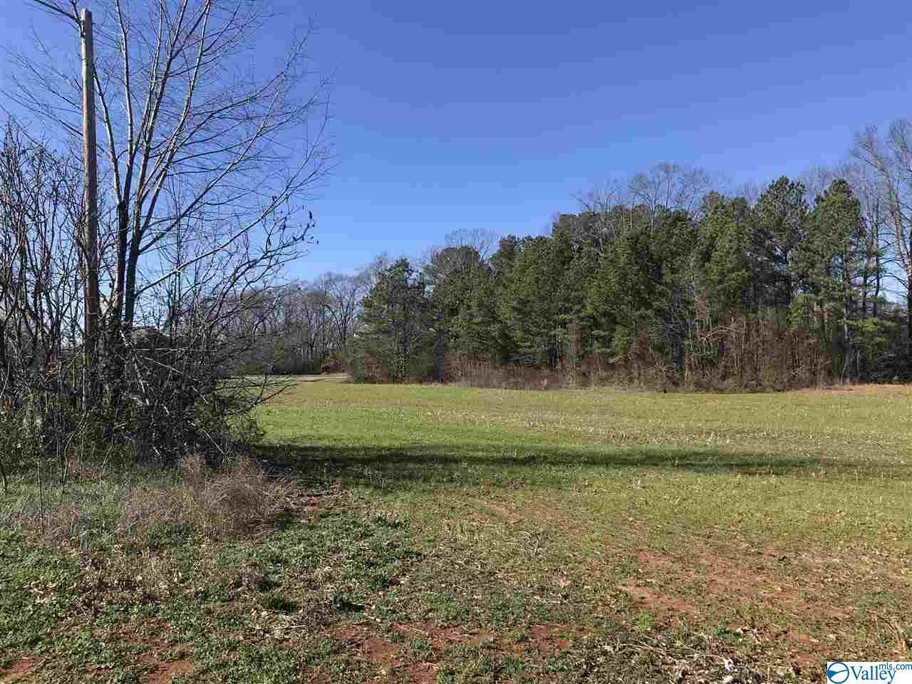 Lot 13 Hatchie Lane - Photo 1
