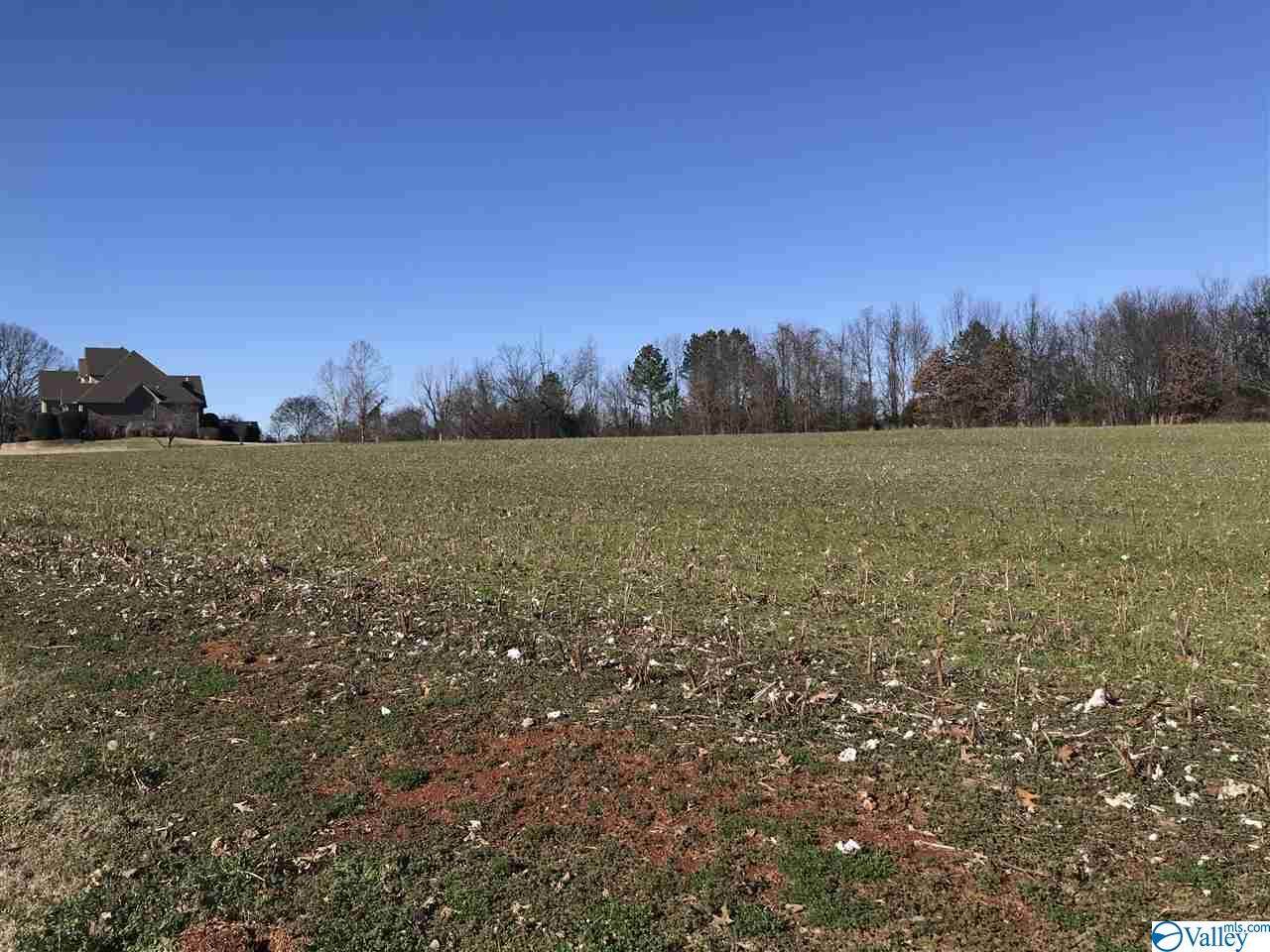 Lot 15 Hatchie Lane - Photo 1