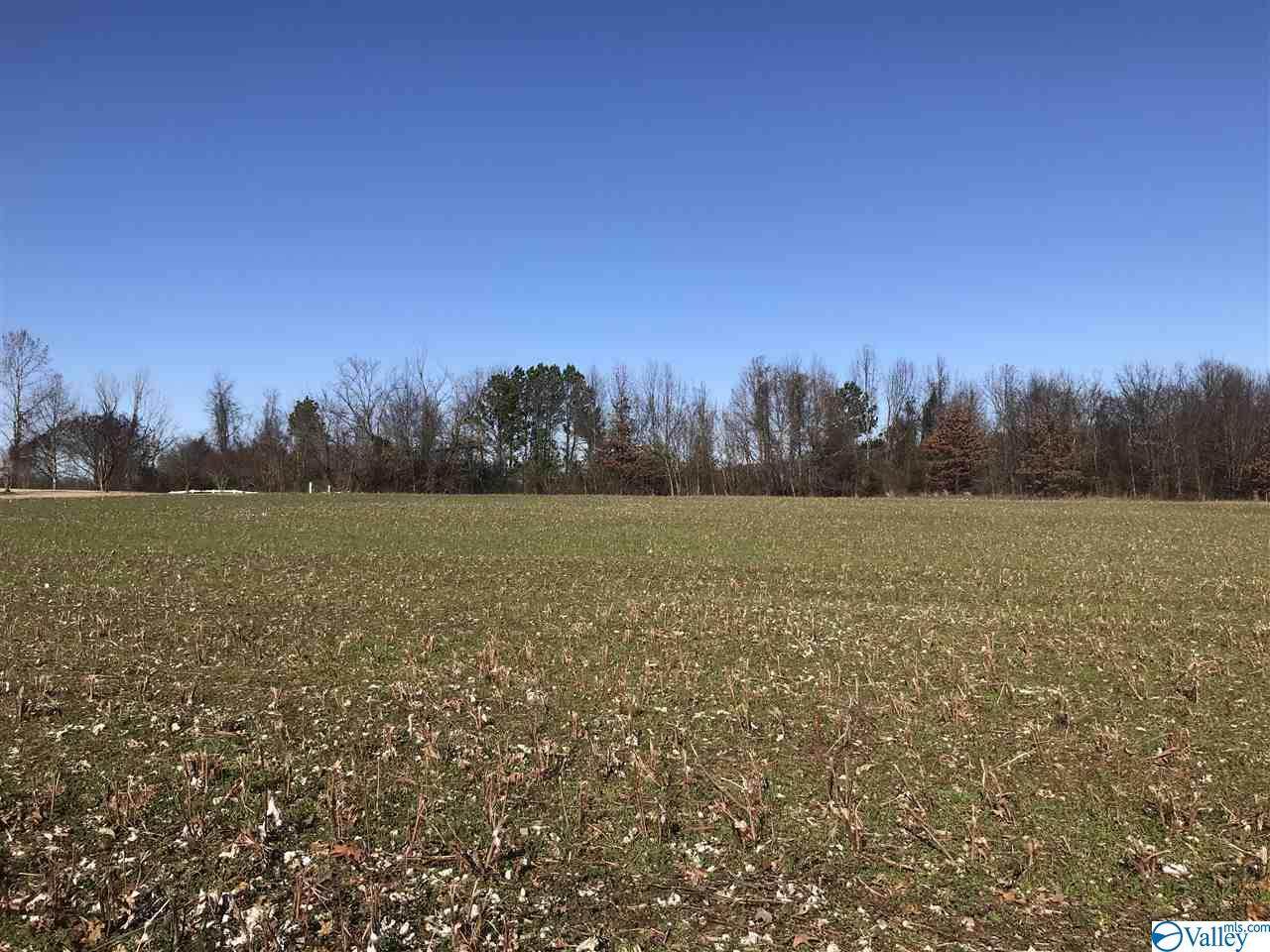 Lot 17 Hatchie Lane - Photo 1