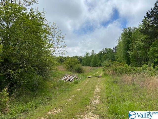 3495 Shady Grove Road - Photo 1 3495 Shady Grove Road - Photo 1