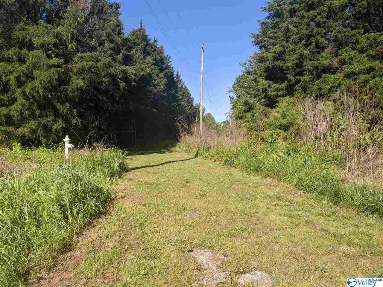 795 Wren Road - Photo 1