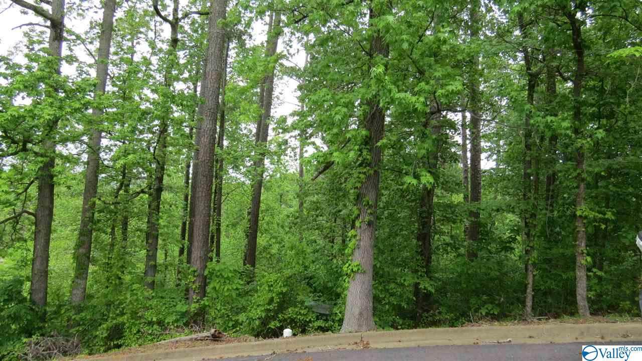 64 Heritage Drive - Photo 1