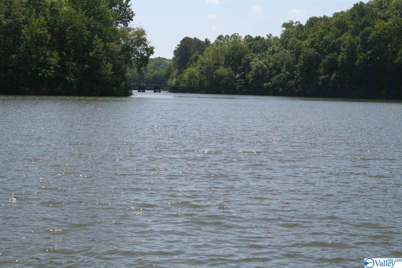 576 County Road 562 - Photo 1