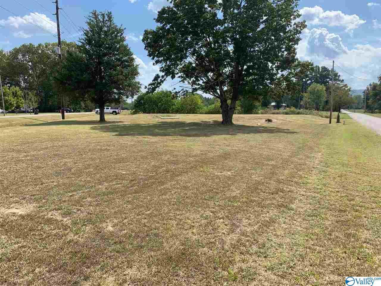 3706 Old Hwy 431 - Photo 1