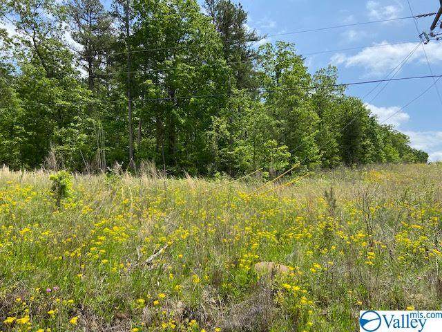 0 County Road 861 - Photo 1 0 County Road 861 - Photo 1