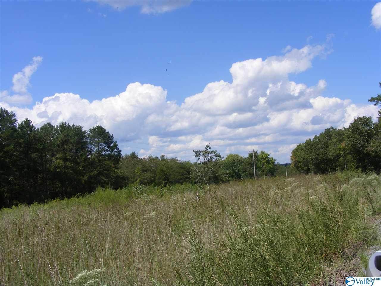 1030 County Road 664 - Photo 1