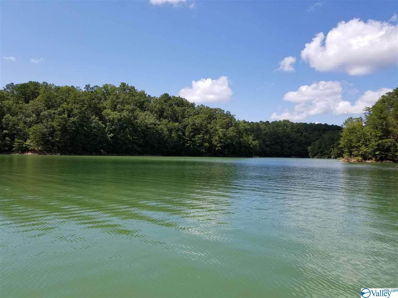 000 County Road 61 - Photo 1
