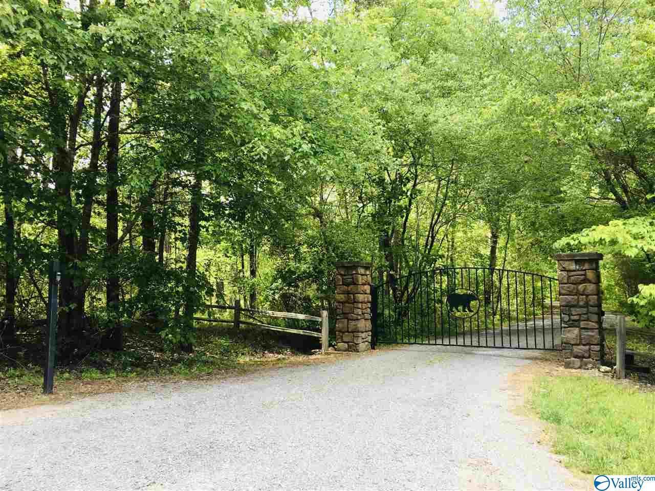 Lot 27 Bear Creek Trail - Photo 1