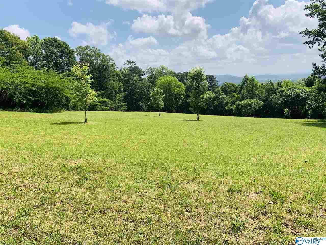 0 Scenic Drive - Photo 1