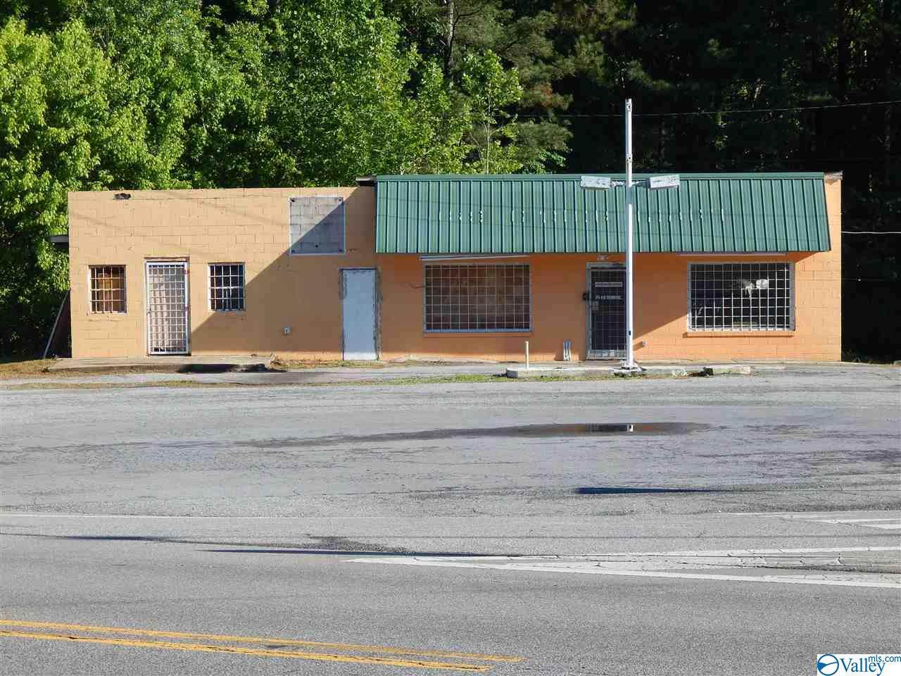 11200 Alabama Hwy 35 - Photo 1