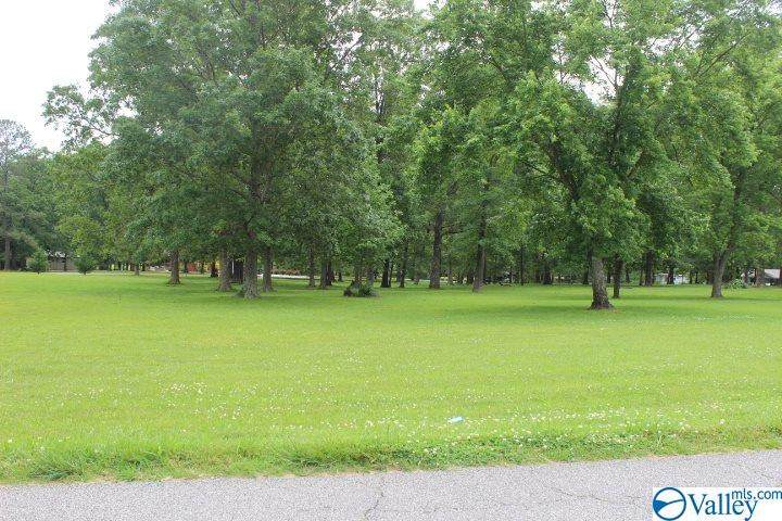 388 Rainbow Avenue - Photo 1
