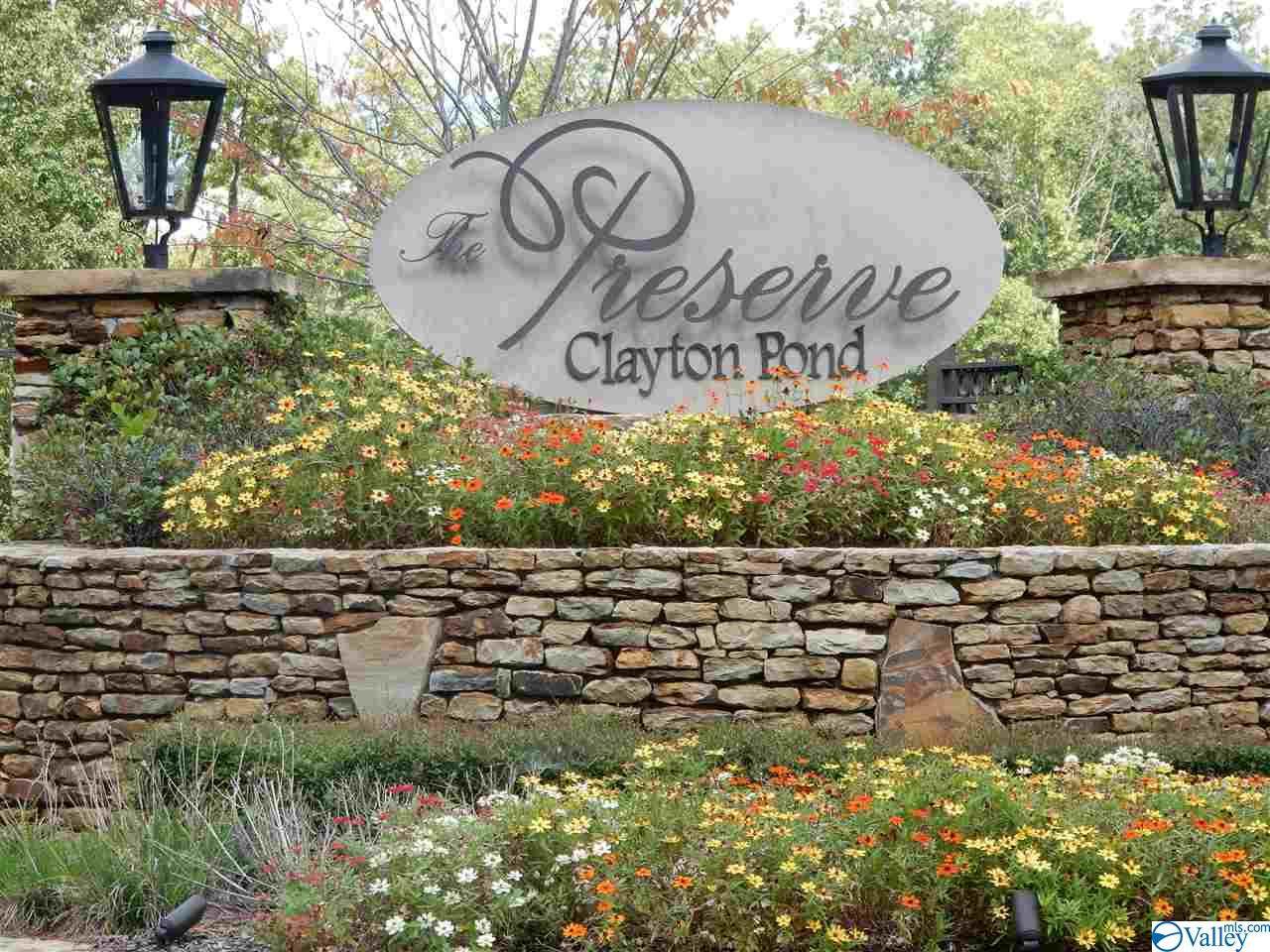 19 Autumn Glory Lane - Photo 1