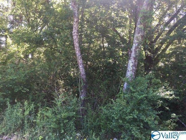 217 Jim Mclemore Road - Photo 1