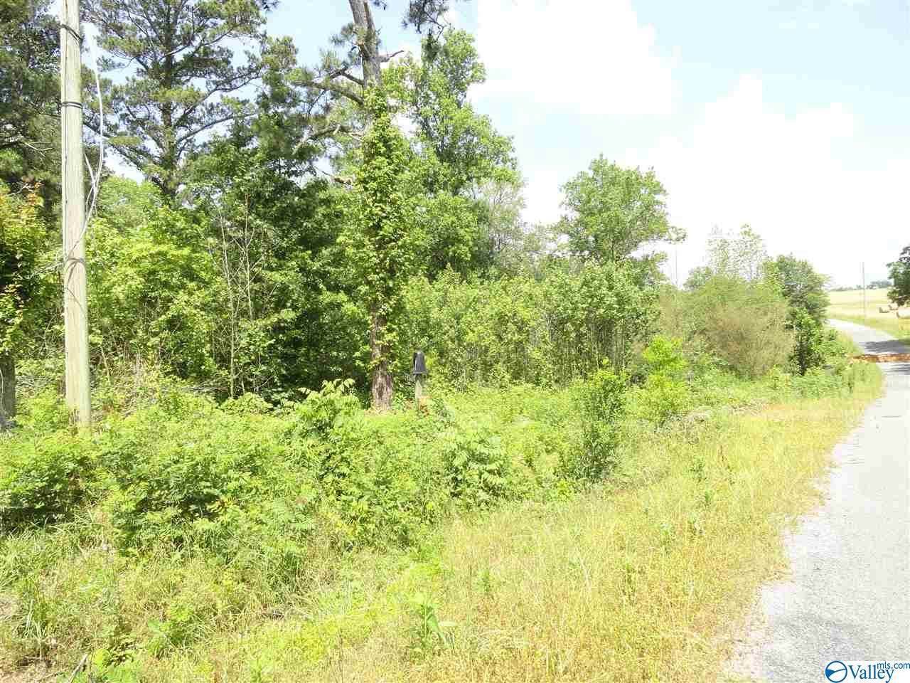 860 County Road 360 - Photo 1