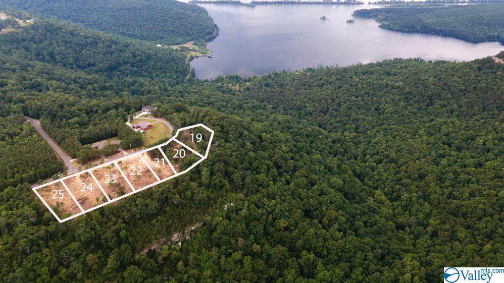 LOT 21 County Road 224 - Photo 1