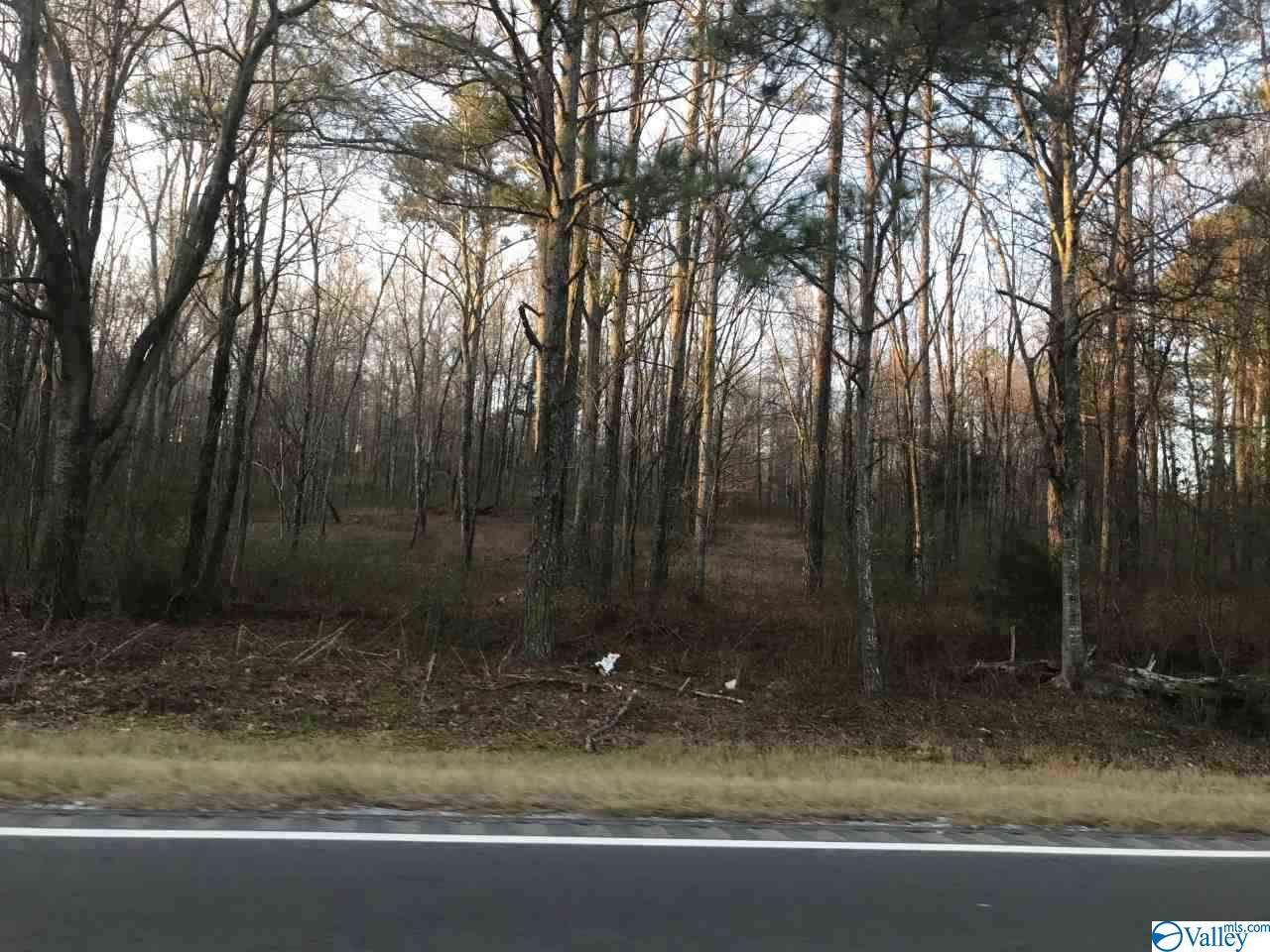 5000 Alabama Highway 79 - Photo 1