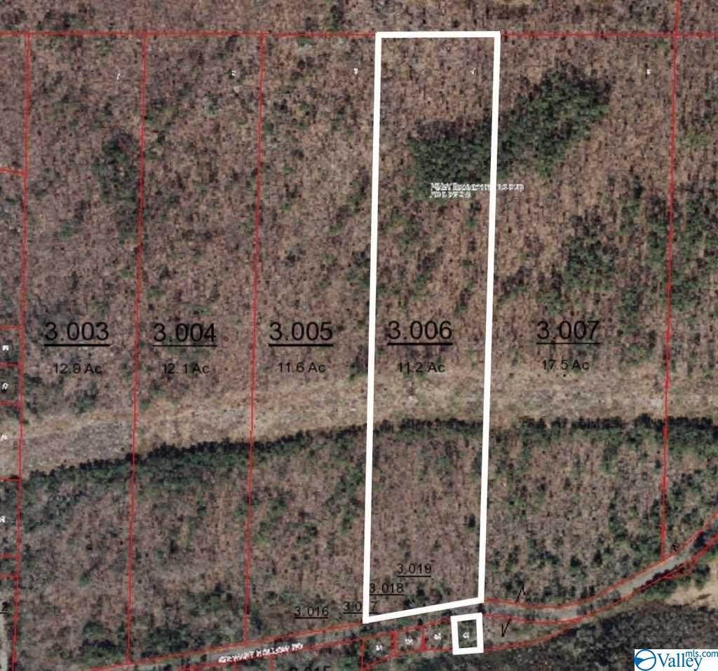#4 Stewart Hollow Road - Photo 1