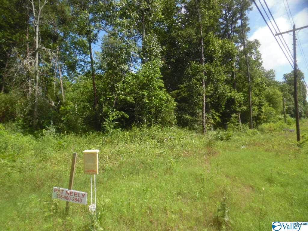 0 Highway 227 - Photo 1